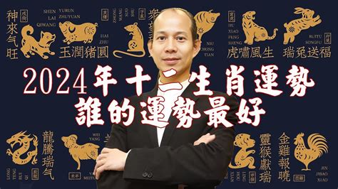 屬龍2024年運勢|2024龍年生肖運勢解析！屬兔先學會放下、屬羊需要安太歲、屬。